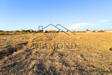 Helårsgrund i Alpiarca, Santarem, Alpiarca - € 75.000 | Ref: DHTU-0044/25 - foto 6