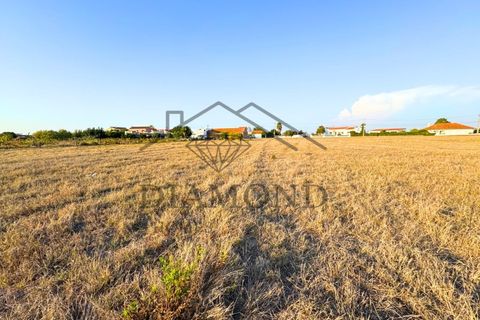 Helårsgrund i Alpiarca, Santarem, Alpiarca - € 75.000 | Ref: DHTU-0044/25 - foto 7