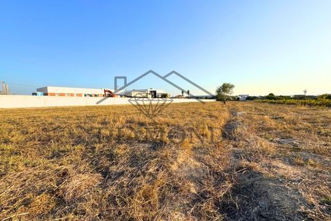 Helårsgrund i Alpiarca, Santarem, Alpiarca - € 75.000 | Ref: DHTU-0044/25 - foto 9