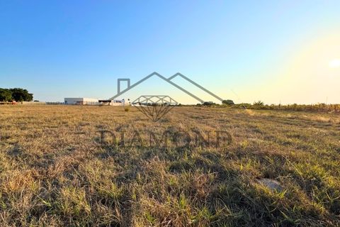 Helårsgrund i Alpiarca, Santarem, Alpiarca - € 75.000 | Ref: DHTU-0044/25 - foto 11