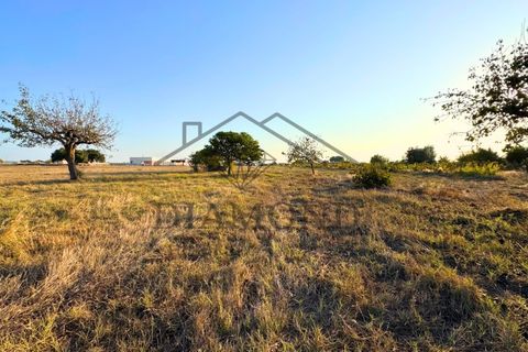 Helårsgrund i Alpiarca, Santarem, Alpiarca - € 75.000 | Ref: DHTU-0044/25 - foto 12