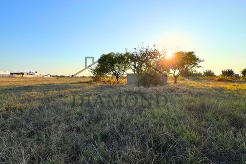 Helårsgrund i Alpiarca, Santarem, Alpiarca - € 75.000 | Ref: DHTU-0044/25 - foto 13