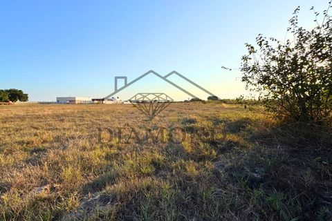Helårsgrund i Alpiarca, Santarem, Alpiarca - € 75.000 | Ref: DHTU-0044/25 - foto 14