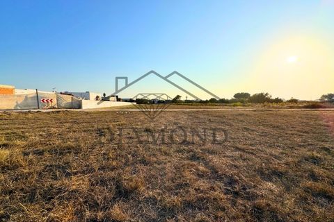 Helårsgrund i Alpiarca, Santarem, Alpiarca - € 75.000 | Ref: DHTU-0044/25 - foto 16