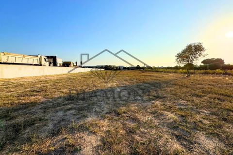 Helårsgrund i Alpiarca, Santarem, Alpiarca - € 75.000 | Ref: DHTU-0044/25 - foto 17