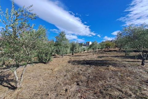 Helårsgrund i Covilha, Castelo Branco, Covilha - € 33.500 | Ref: 394250120 - foto 4