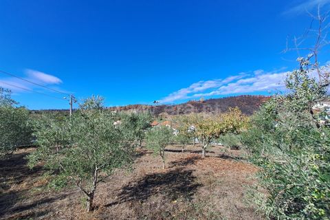 Helårsgrund i Covilha, Castelo Branco, Covilha - € 33.500 | Ref: 394250120 - foto 5