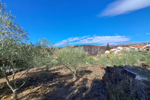 Helårsgrund i Covilha, Castelo Branco, Covilha - € 33.500 | Ref: 394250120 - foto 6