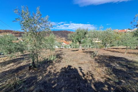 Helårsgrund i Covilha, Castelo Branco, Covilha - € 33.500 | Ref: 394250120 - foto 7