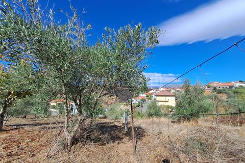 Helårsgrund i Covilha, Castelo Branco, Covilha - € 33.500 | Ref: 394250120 - foto 8