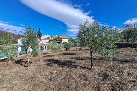 Helårsgrund i Covilha, Castelo Branco, Covilha - € 33.500 | Ref: 394250120 - foto 1