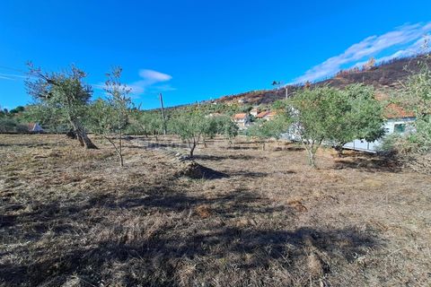 Helårsgrund i Covilha, Castelo Branco, Covilha - € 33.500 | Ref: 394250120 - foto 9