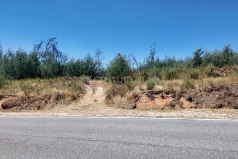 Helårsgrund i Guarda, Guarda, Guarda - € 49.500 | Ref: C0473-00275 - foto 2