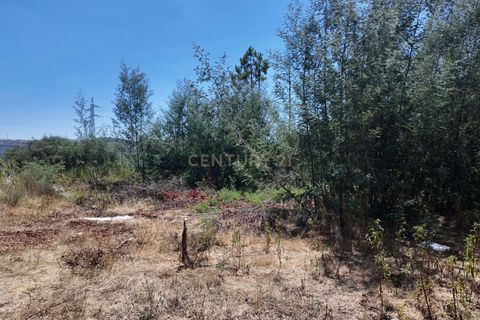 Helårsgrund i Guarda, Guarda, Guarda - € 49.500 | Ref: C0473-00275 - foto 4
