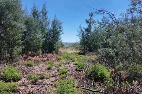 Helårsgrund i Guarda, Guarda, Guarda - € 49.500 | Ref: C0473-00275 - foto 5