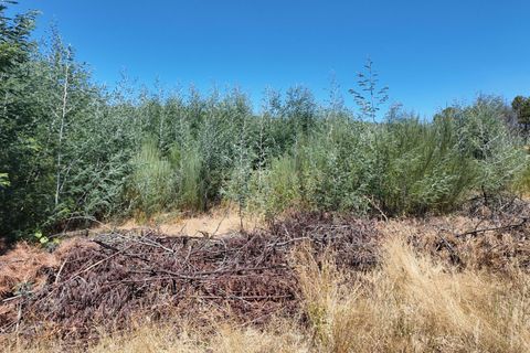 Helårsgrund i Guarda, Guarda, Guarda - € 49.500 | Ref: C0473-00275 - foto 7