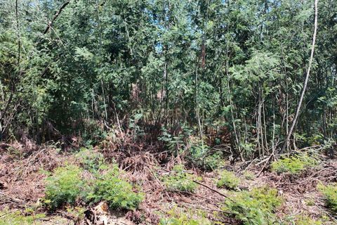 Helårsgrund i Guarda, Guarda, Guarda - € 49.500 | Ref: C0473-00275 - foto 8