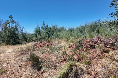 Helårsgrund i Guarda, Guarda, Guarda - € 49.500 | Ref: C0473-00275 - foto 9