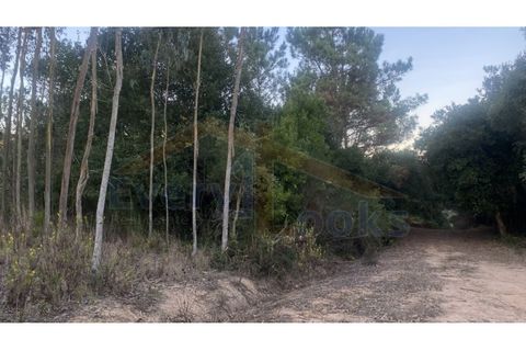 Helårsgrund i Obidos, Leiria, Obidos - € 29.500 | Ref: EL2025544 - foto 5