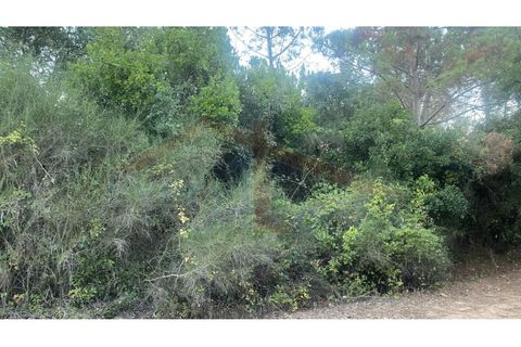 Helårsgrund i Obidos, Leiria, Obidos - € 29.500 | Ref: EL2025544 - foto 8