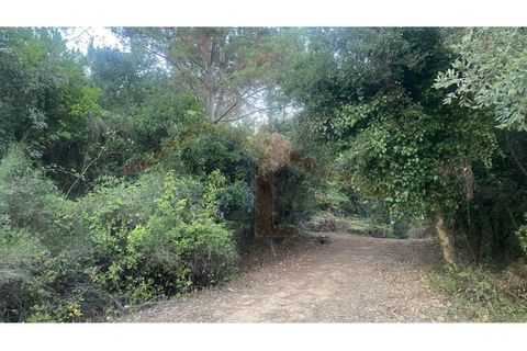 Helårsgrund i Obidos, Leiria, Obidos - € 29.500 | Ref: EL2025544 - foto 9