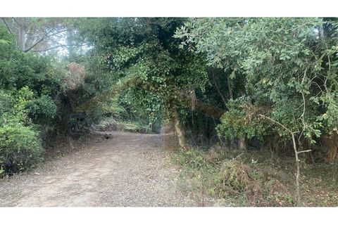 Helårsgrund i Obidos, Leiria, Obidos - € 29.500 | Ref: EL2025544 - foto 10