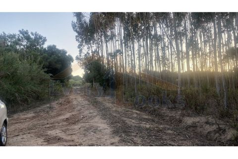 Helårsgrund i Obidos, Leiria, Obidos - € 29.500 | Ref: EL2025544 - foto 11