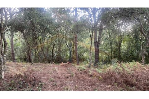 Helårsgrund i Obidos, Leiria, Obidos - € 29.500 | Ref: EL2025544 - foto 13