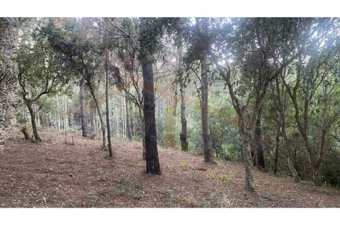 Helårsgrund i Obidos, Leiria, Obidos - € 29.500 | Ref: EL2025544 - foto 14