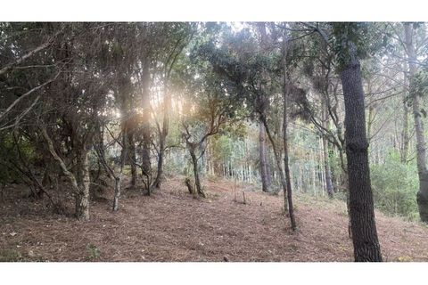 Helårsgrund i Obidos, Leiria, Obidos - € 29.500 | Ref: EL2025544 - foto 15