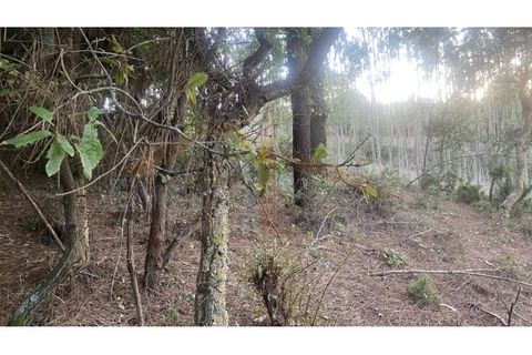Helårsgrund i Obidos, Leiria, Obidos - € 29.500 | Ref: EL2025544 - foto 18