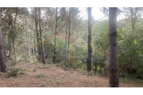 Helårsgrund i Obidos, Leiria, Obidos - € 29.500 | Ref: EL2025544 - foto 20
