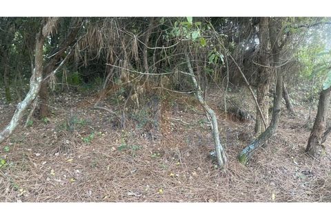 Helårsgrund i Obidos, Leiria, Obidos - € 29.500 | Ref: EL2025544 - foto 21