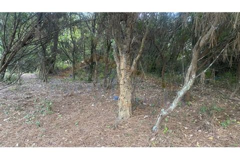 Helårsgrund i Obidos, Leiria, Obidos - € 29.500 | Ref: EL2025544 - foto 23