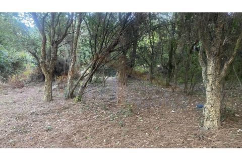 Helårsgrund i Obidos, Leiria, Obidos - € 29.500 | Ref: EL2025544 - foto 24