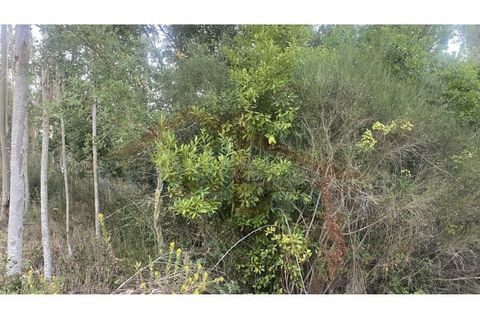 Helårsgrund i Obidos, Leiria, Obidos - € 29.500 | Ref: EL2025544 - foto 26