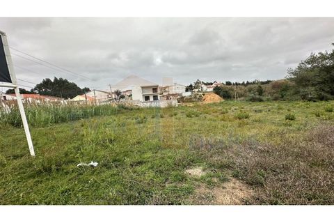 Helårsgrund i Santo Onofre e Serra do Bouro, Leiria, Santo Onofre e Serra do Bouro - € 180.000 | Ref: EL2025554 - foto 3