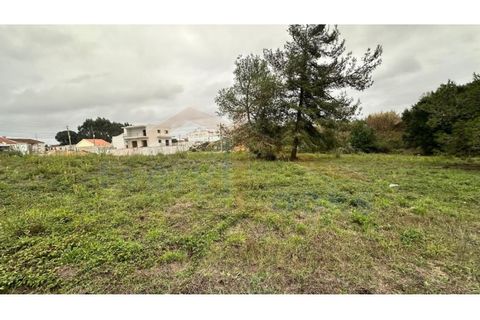 Helårsgrund i Santo Onofre e Serra do Bouro, Leiria, Santo Onofre e Serra do Bouro - € 180.000 | Ref: EL2025554 - foto 4