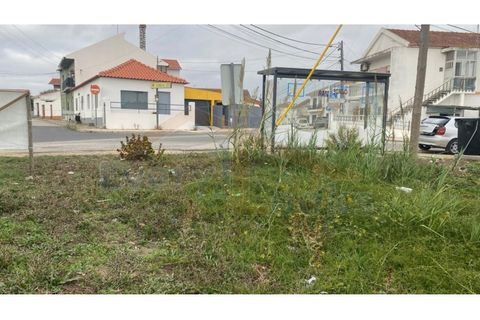 Helårsgrund i Santo Onofre e Serra do Bouro, Leiria, Santo Onofre e Serra do Bouro - € 180.000 | Ref: EL2025554 - foto 5