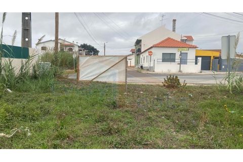 Helårsgrund i Santo Onofre e Serra do Bouro, Leiria, Santo Onofre e Serra do Bouro - € 180.000 | Ref: EL2025554 - foto 6