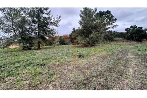 Helårsgrund i Santo Onofre e Serra do Bouro, Leiria, Santo Onofre e Serra do Bouro - € 180.000 | Ref: EL2025554 - foto 7