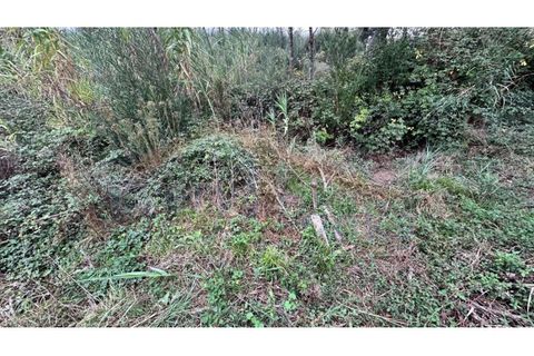 Helårsgrund i Santo Onofre e Serra do Bouro, Leiria, Santo Onofre e Serra do Bouro - € 180.000 | Ref: EL2025554 - foto 9