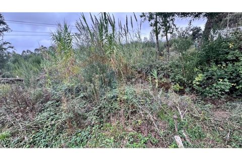 Helårsgrund i Santo Onofre e Serra do Bouro, Leiria, Santo Onofre e Serra do Bouro - € 180.000 | Ref: EL2025554 - foto 10