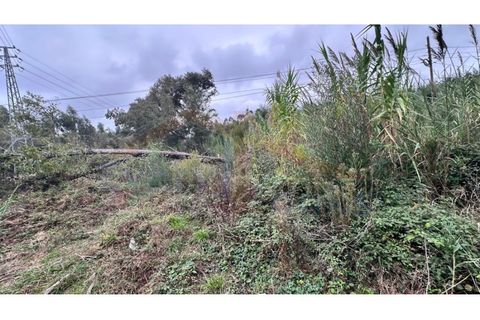 Helårsgrund i Santo Onofre e Serra do Bouro, Leiria, Santo Onofre e Serra do Bouro - € 180.000 | Ref: EL2025554 - foto 11