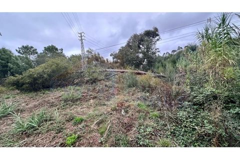 Helårsgrund i Santo Onofre e Serra do Bouro, Leiria, Santo Onofre e Serra do Bouro - € 180.000 | Ref: EL2025554 - foto 12