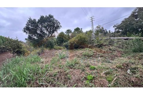 Helårsgrund i Santo Onofre e Serra do Bouro, Leiria, Santo Onofre e Serra do Bouro - € 180.000 | Ref: EL2025554 - foto 13