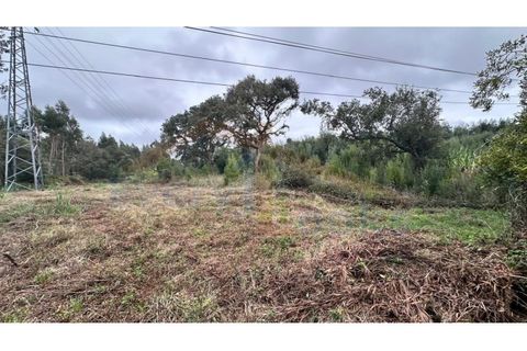 Helårsgrund i Santo Onofre e Serra do Bouro, Leiria, Santo Onofre e Serra do Bouro - € 180.000 | Ref: EL2025554 - foto 15