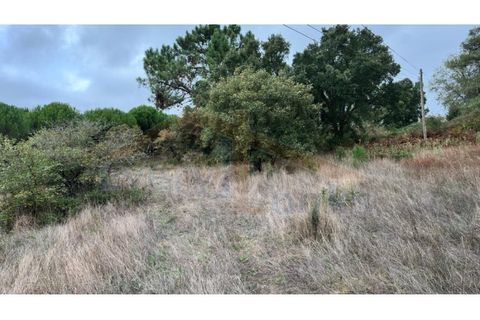 Helårsgrund i Santo Onofre e Serra do Bouro, Leiria, Santo Onofre e Serra do Bouro - € 180.000 | Ref: EL2025554 - foto 16