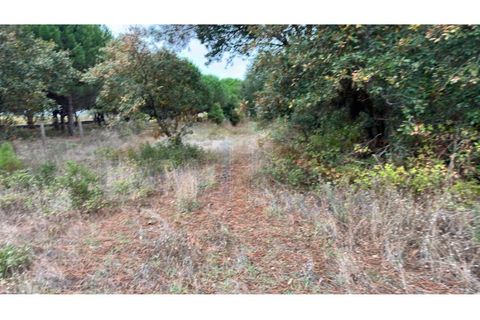 Helårsgrund i Santo Onofre e Serra do Bouro, Leiria, Santo Onofre e Serra do Bouro - € 180.000 | Ref: EL2025554 - foto 17