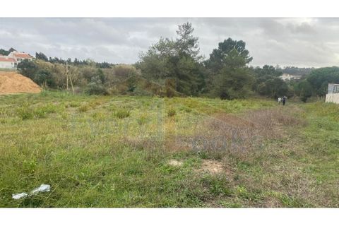 Helårsgrund i Santo Onofre e Serra do Bouro, Leiria, Santo Onofre e Serra do Bouro - € 180.000 | Ref: EL2025554 - foto 18